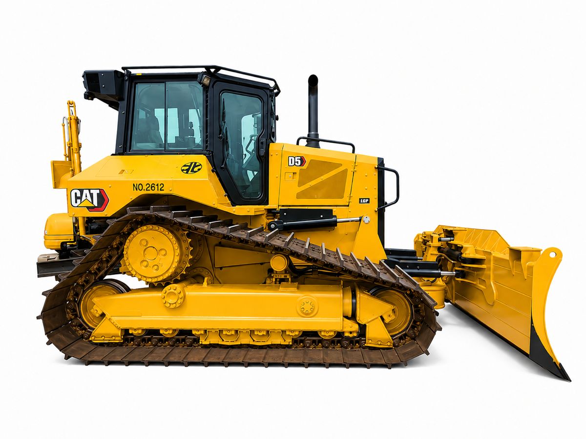 D5
